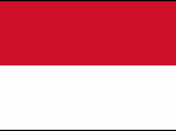 Визы в Индонезию
